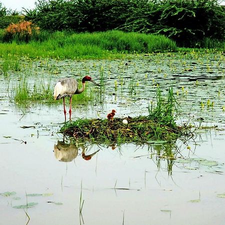Ibishouse Farm Stay Bharatpur Bagian luar foto